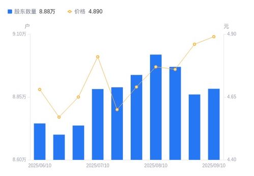 中泰化學A股股東結構變動分析 戶數增加，持股集中度略降